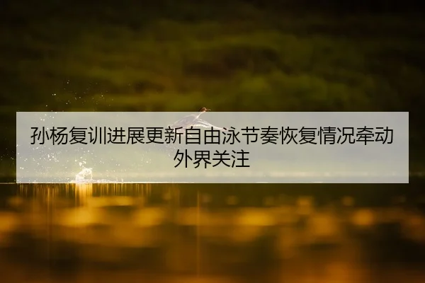 孙杨复训进展更新自由泳节奏恢复情况牵动外界关注