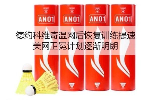 德约科维奇温网后恢复训练提速 美网卫冕计划逐渐明朗